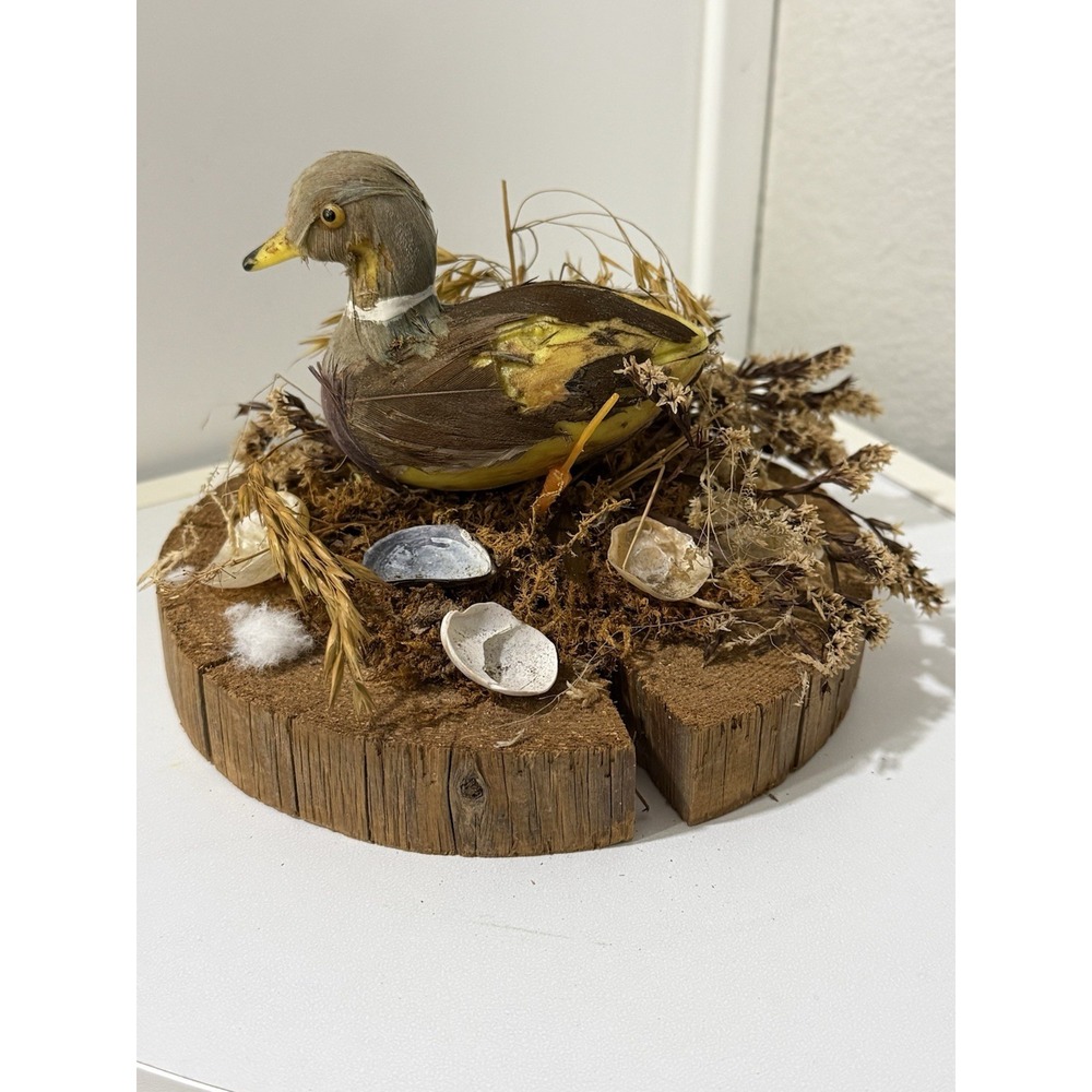 Vintage Decorative Duck Diorama Mixed Media Bird Figure Cottagecore Decor Folk